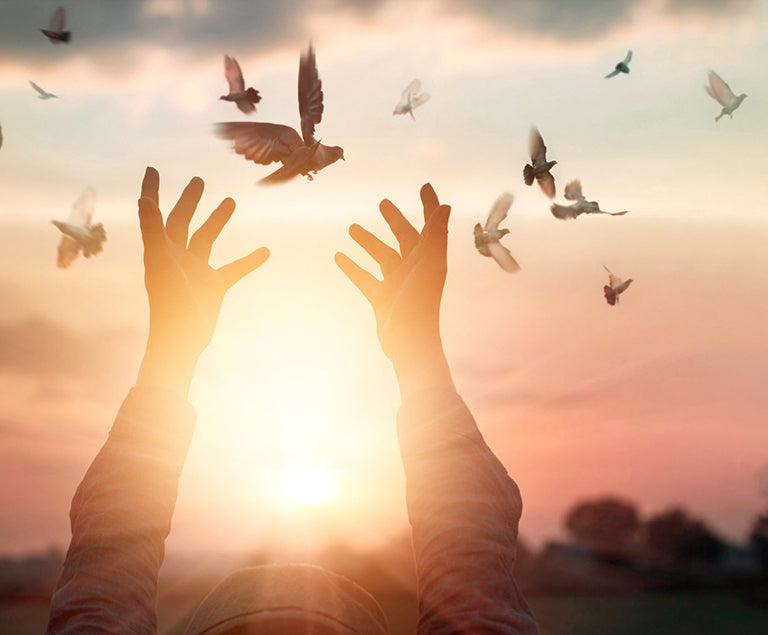 Forgiveness