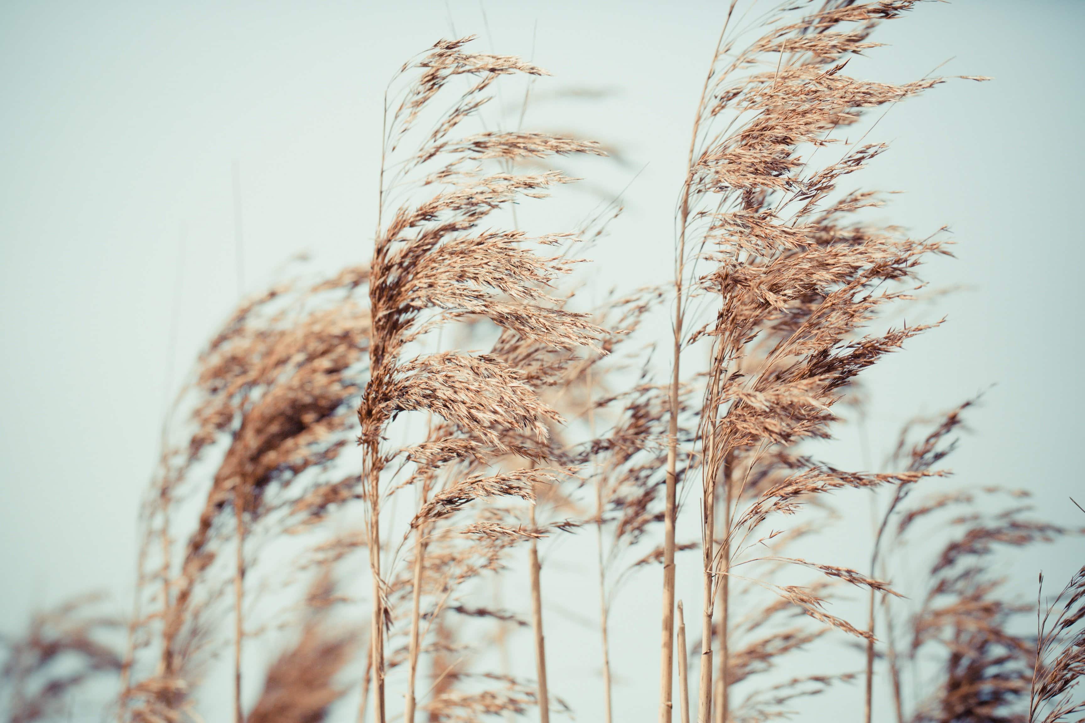 5 Habits to Embrace More Positivity #AugustBergInsiders