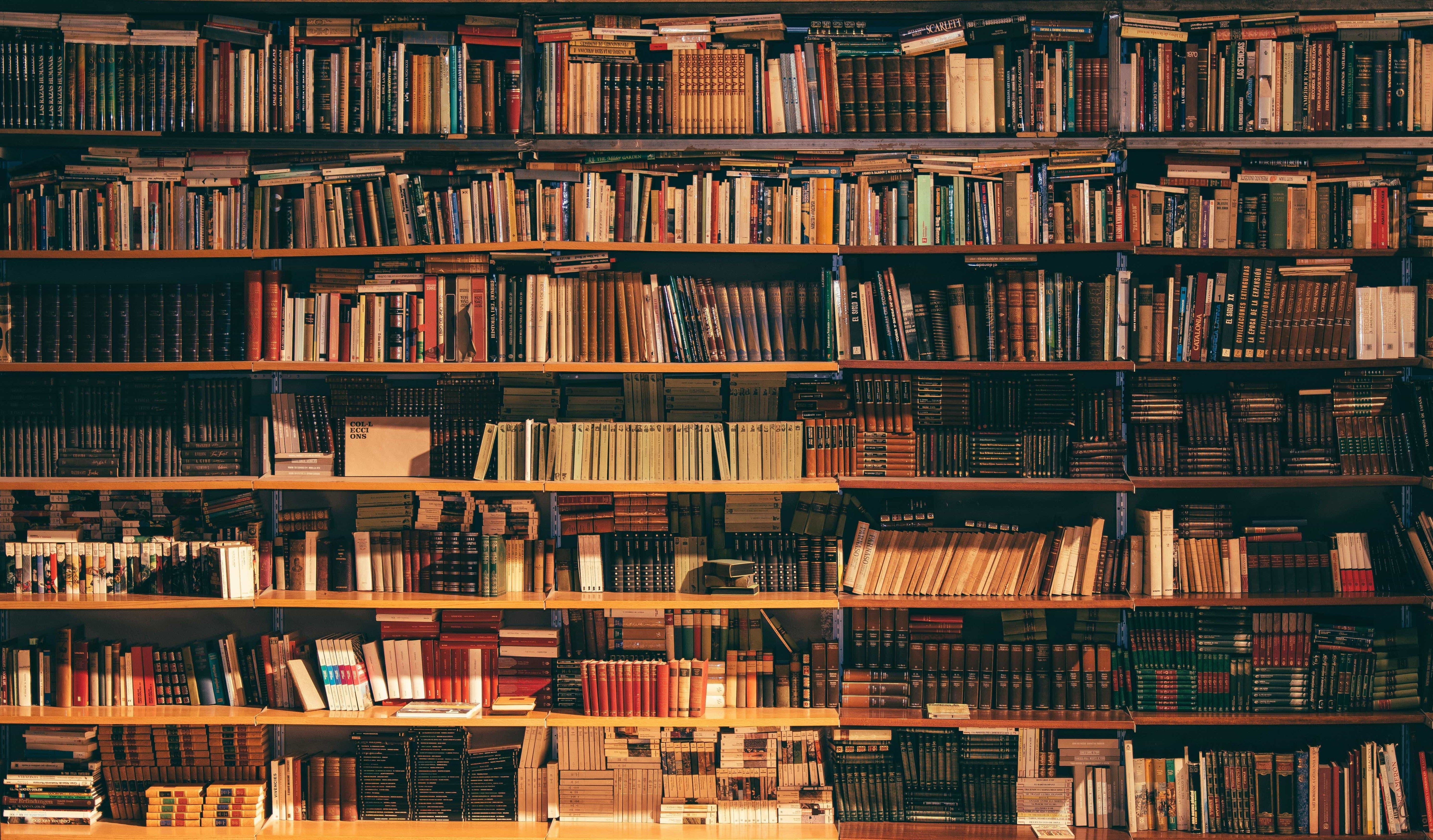 Books, Films and Art to Catch Up On
