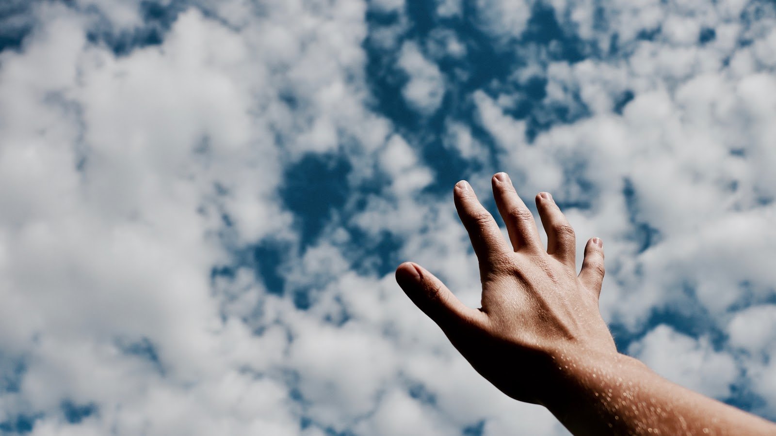 There is no health without mental health